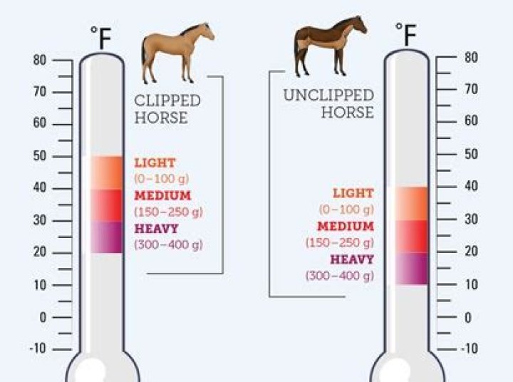 What temperature should a horse be?