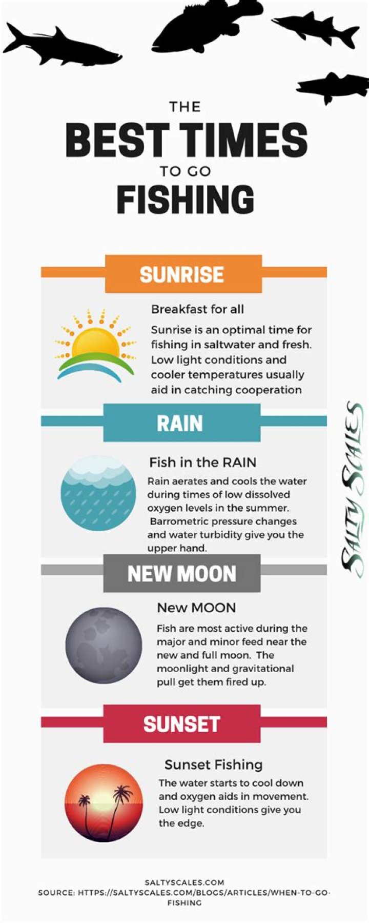 What time is the best time to go fishing today?