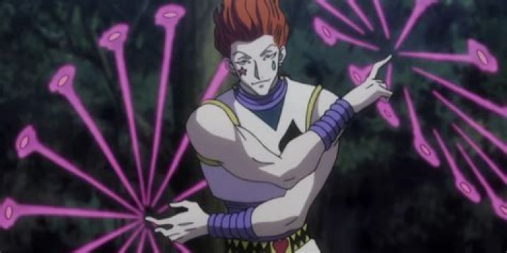 What type of hunter is Hisoka?