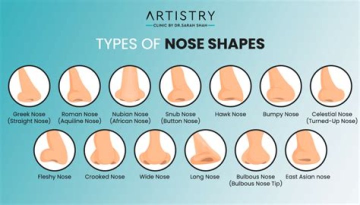 What type of noses are attractive?