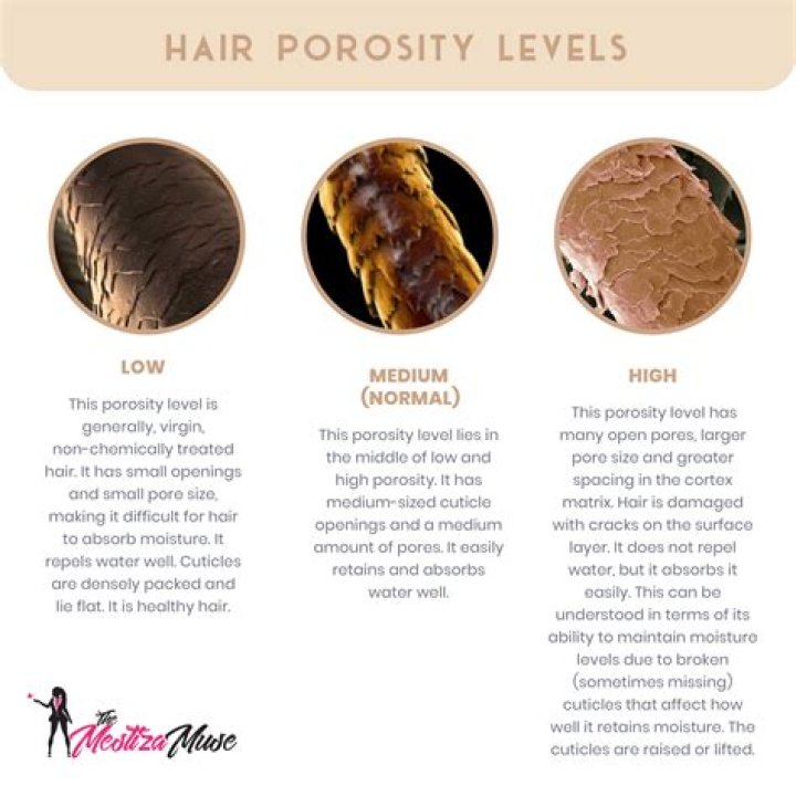 What type of PAG oil should I use?