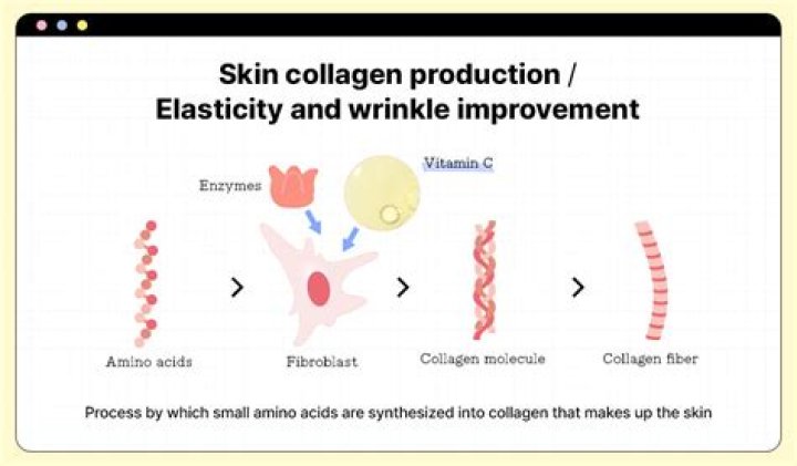 What vitamin promotes the production of collagen?