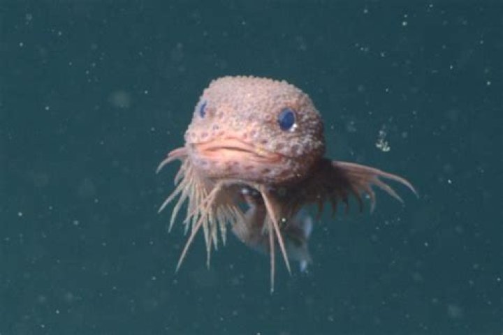 What was discovered at the bottom of Lake Superior?