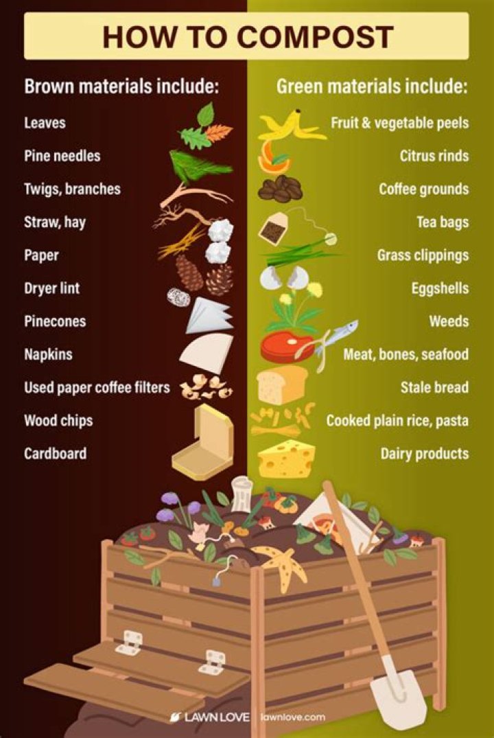 What will you do about flies in your compost?
