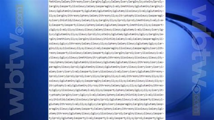 What word takes 3 hours to say?