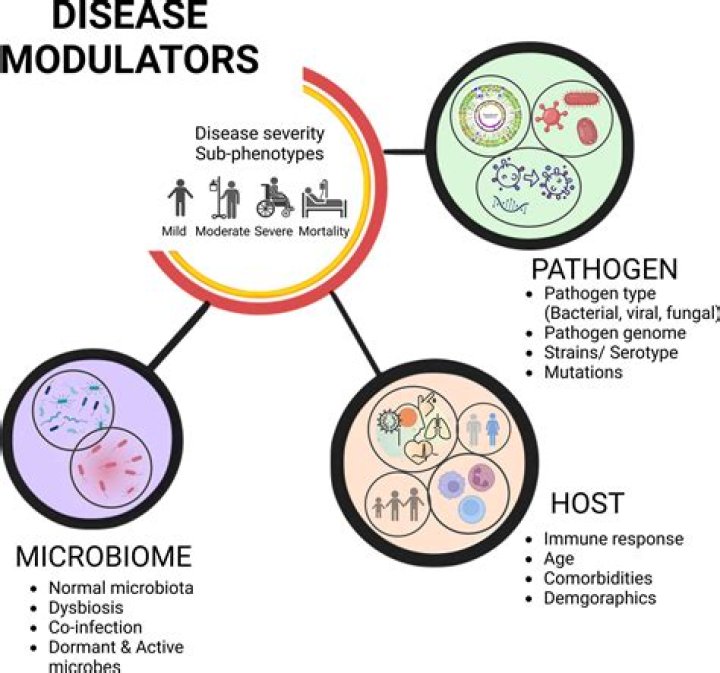 What would be the symptoms of the microbes infect the liver?