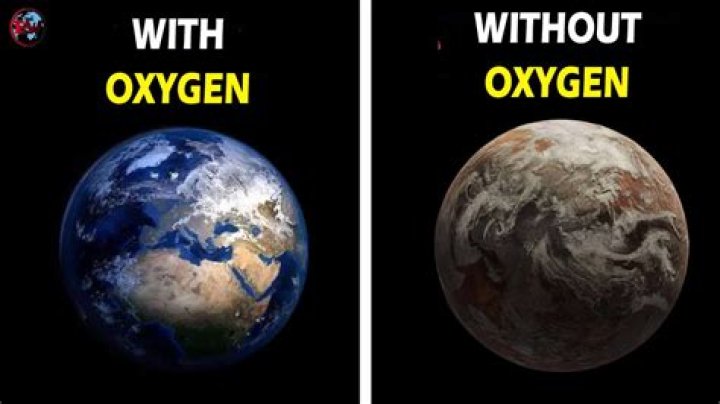 What year will the Earth run out of oxygen?