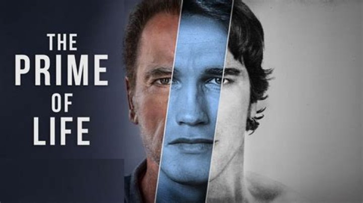 What years are the prime of your life?