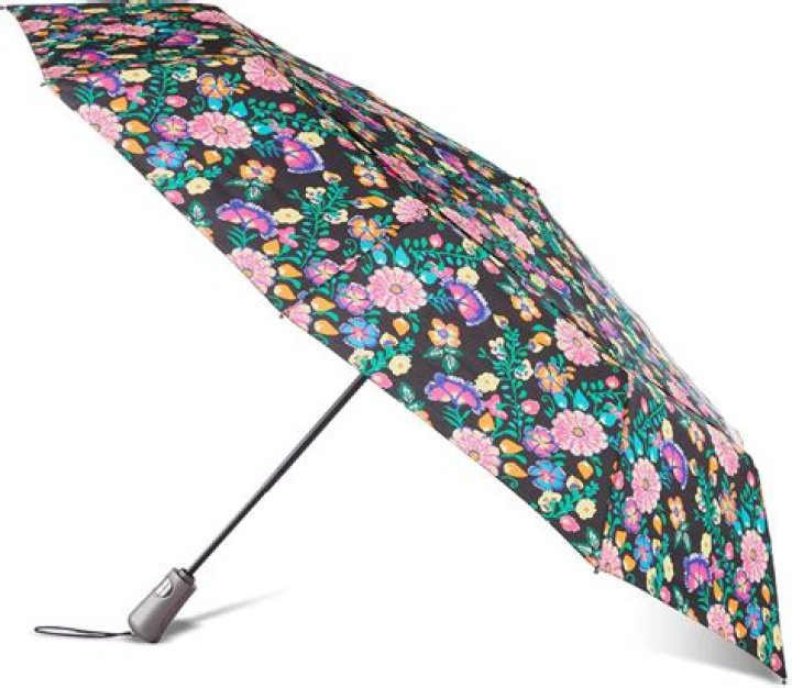 What you mean by umbrella?