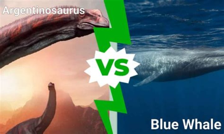 What's bigger Argentinosaurus or blue whale?