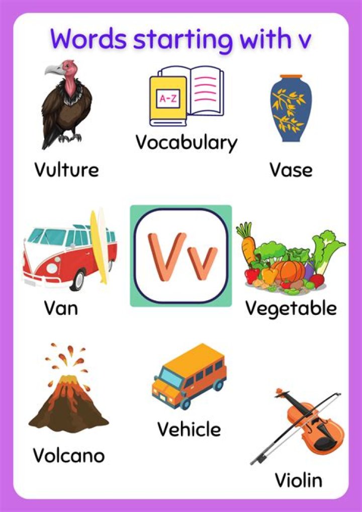 What's that start with V?