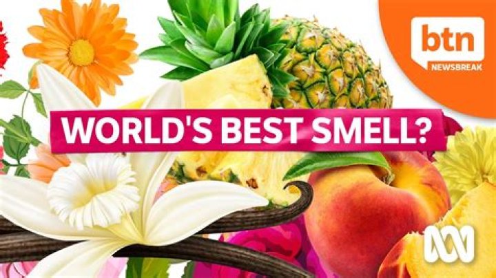 What's the best smell in the world?