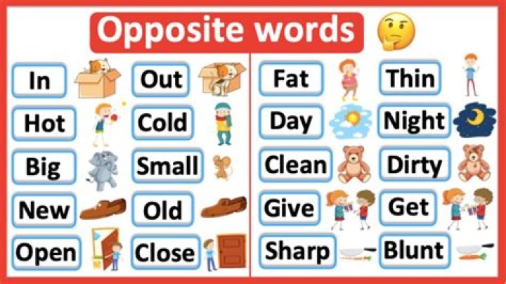 What's the opposite of a simp?