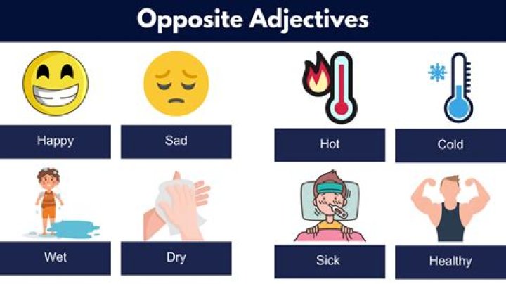 What's the opposite of 0?