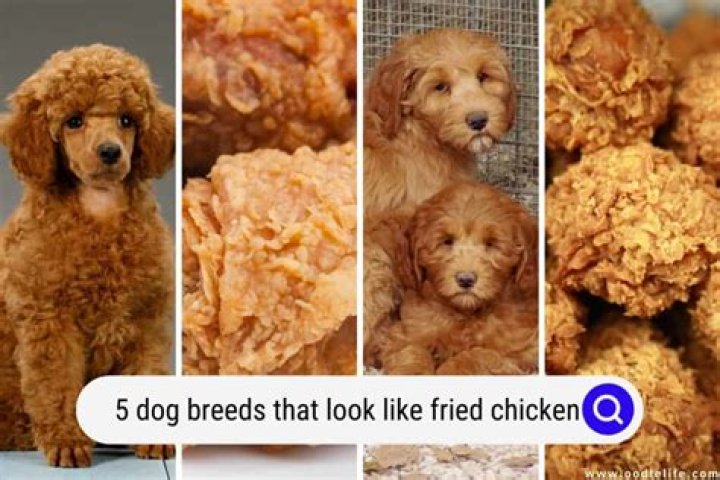 What's worse red meat or fried chicken?