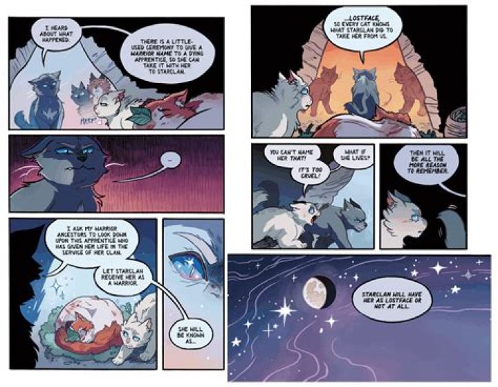 When did book burning begin?