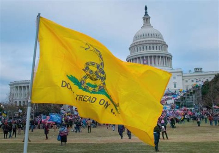 When did Don't Tread on Me originate?