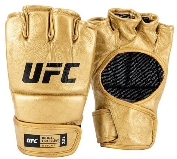 When did Golden Gloves start?
