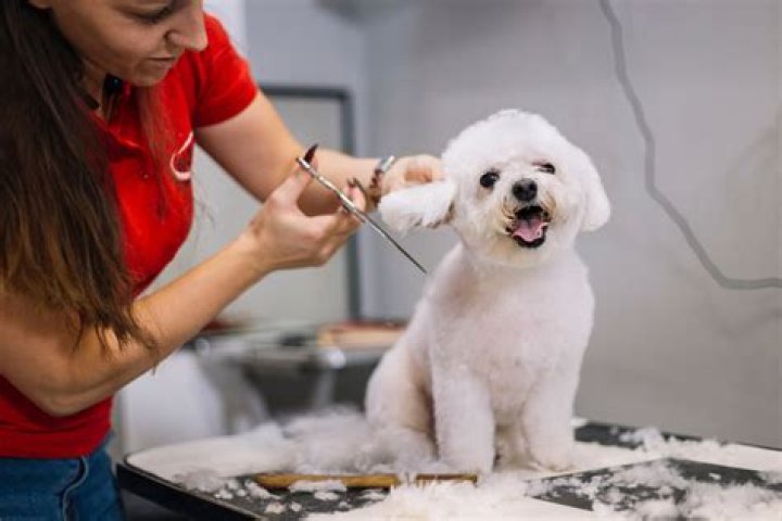 When grooming a dog do you go with the hair or against?