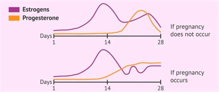 When should I start taking progesterone to prevent miscarriage?