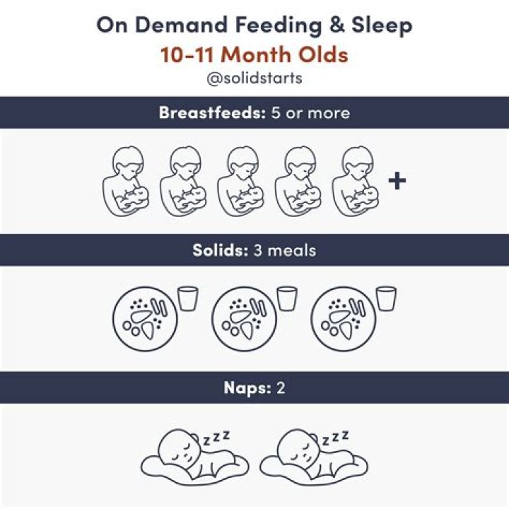 When should last nap end 5 month old?