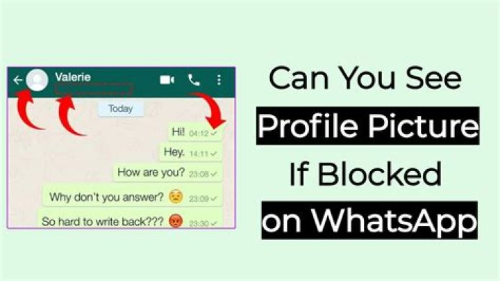 When someone blocks you on WhatsApp can you see their about?