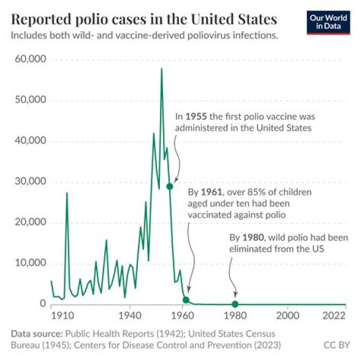 When was polio at its peak?