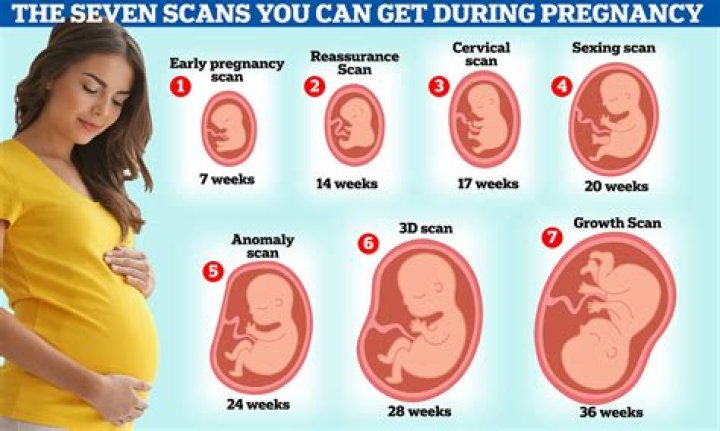 When Your pregnant Can the baby feel your emotions?