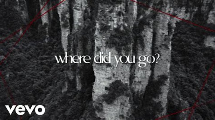 Where did Sookie go?