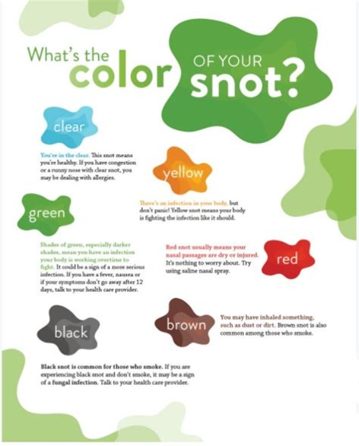 Where does snot go when you sniff?