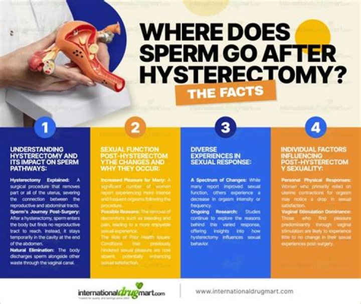 Where does sperm go after vasectomy?