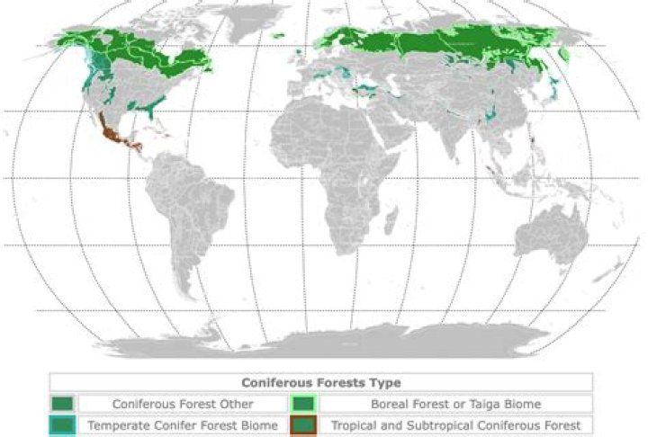 Where in Europe is forest loss the greatest?