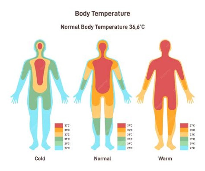Where is the most accurate place to take the body temperature of the deceased?