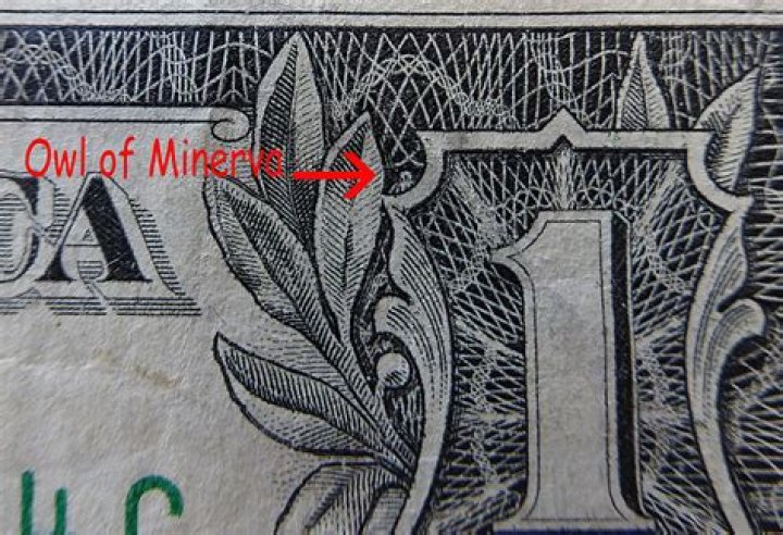 Where is the owl on the 1 dollar bill?