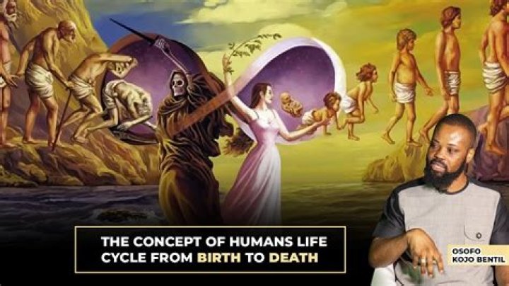 Which animal keeps standing after its birth till death?