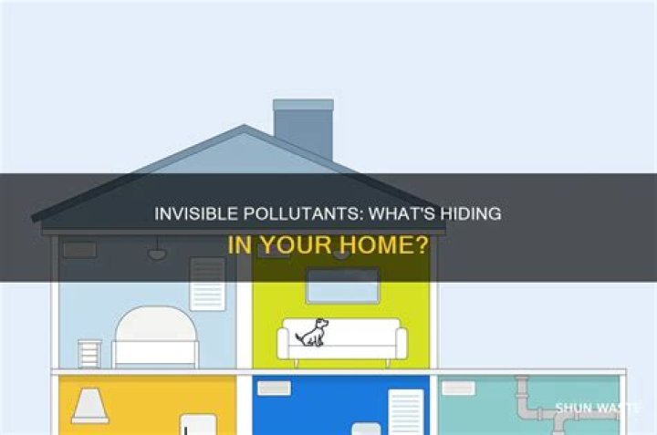Which are invisible pollutants?