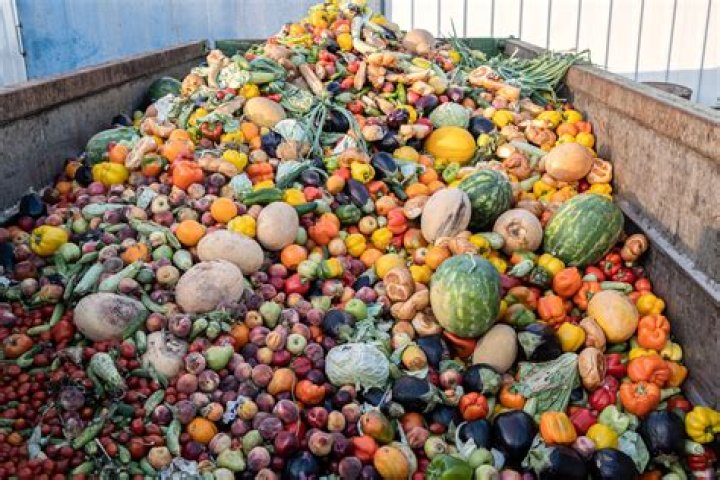 Which country waste more food?