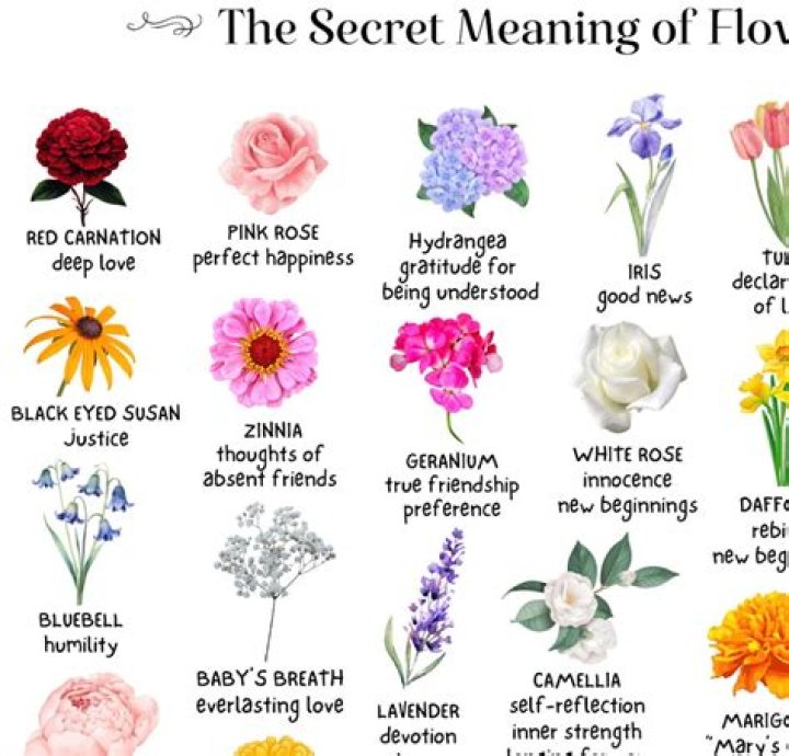 Which flower is symbol of everlasting life?