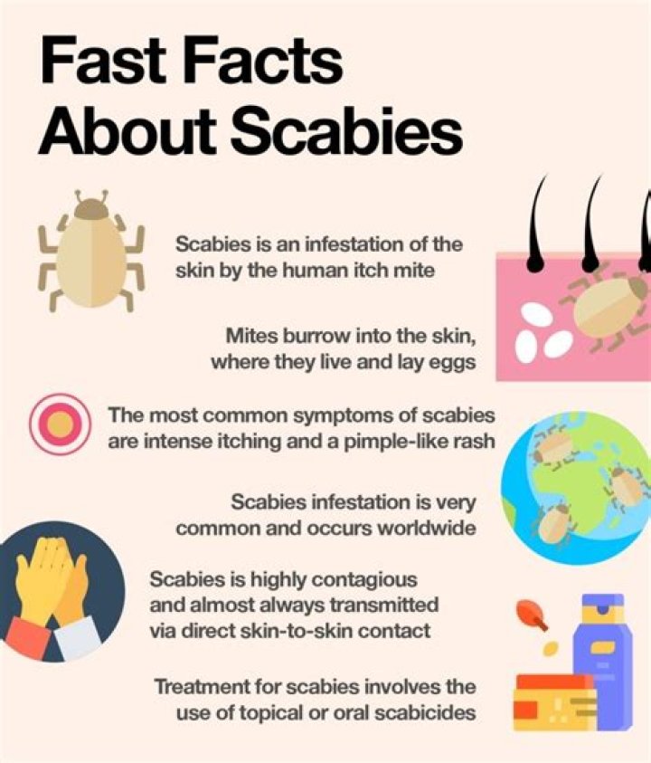 Which food kills scabies?