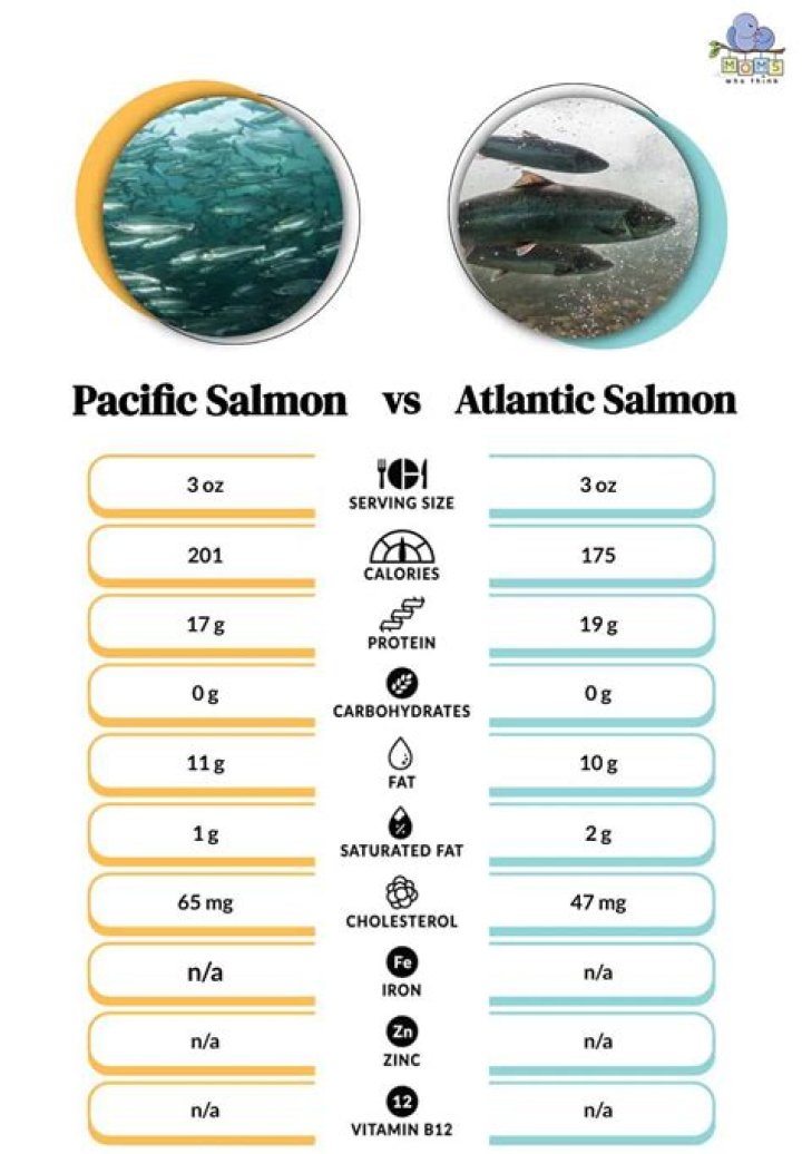 Which is healthier Atlantic or Pacific salmon?