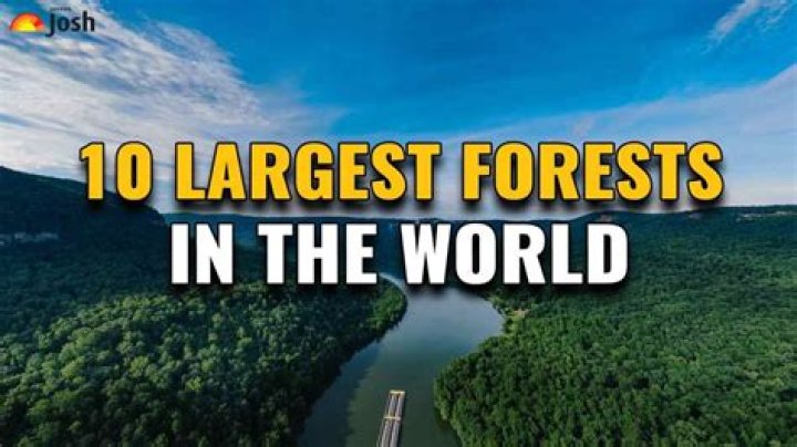 Which is the biggest forest in the world?
