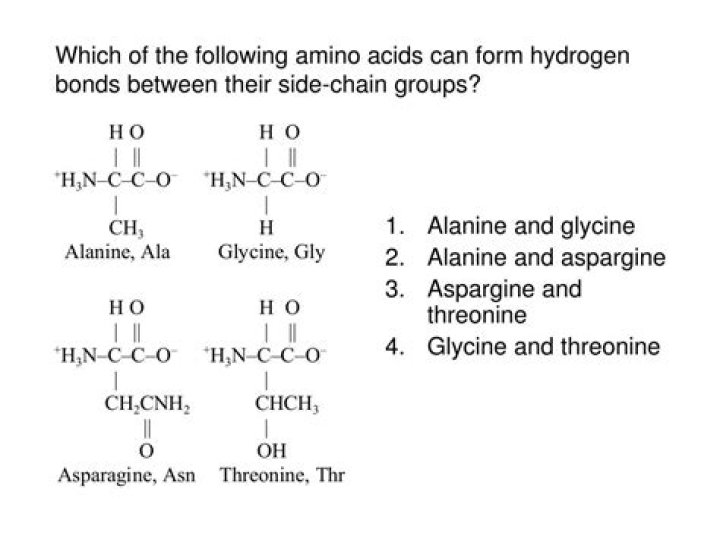 Which of the following amino acids has a side chain that can make hydrogen bonds to other molecules?