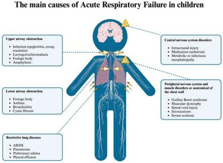 Which of the following are signs of respiratory illness?