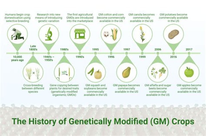 Which of the following is the leading anti GMO political organization in the world?