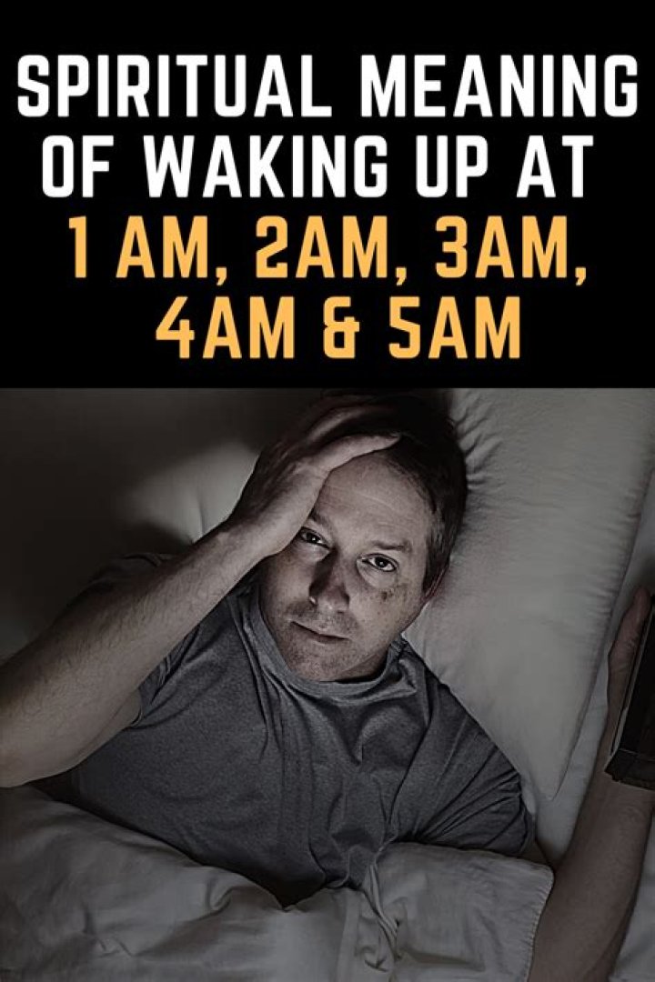 Which organ is active at 1AM?