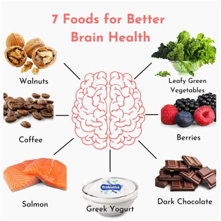 Which protein is best for brain?