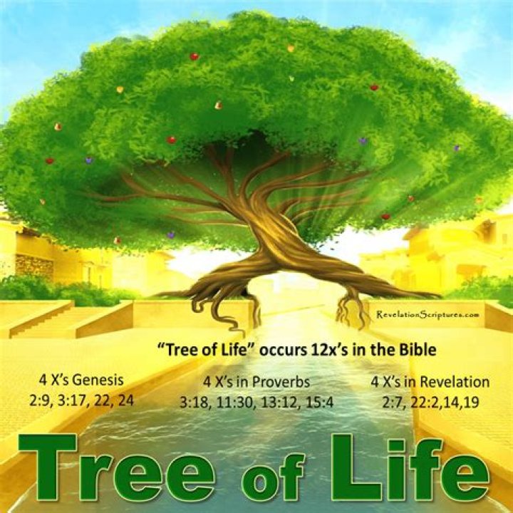 Which tree is called tree of Life?