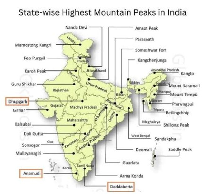 Which type of forest is highest in India?