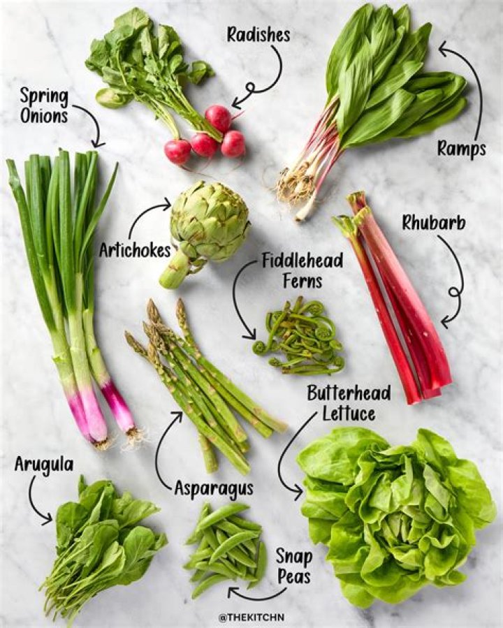 Which vegetable is the King of rock n Roll?