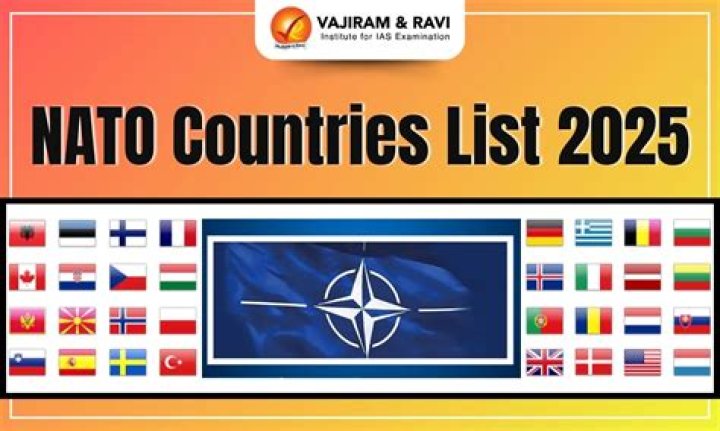 Who are the US NATO allies?